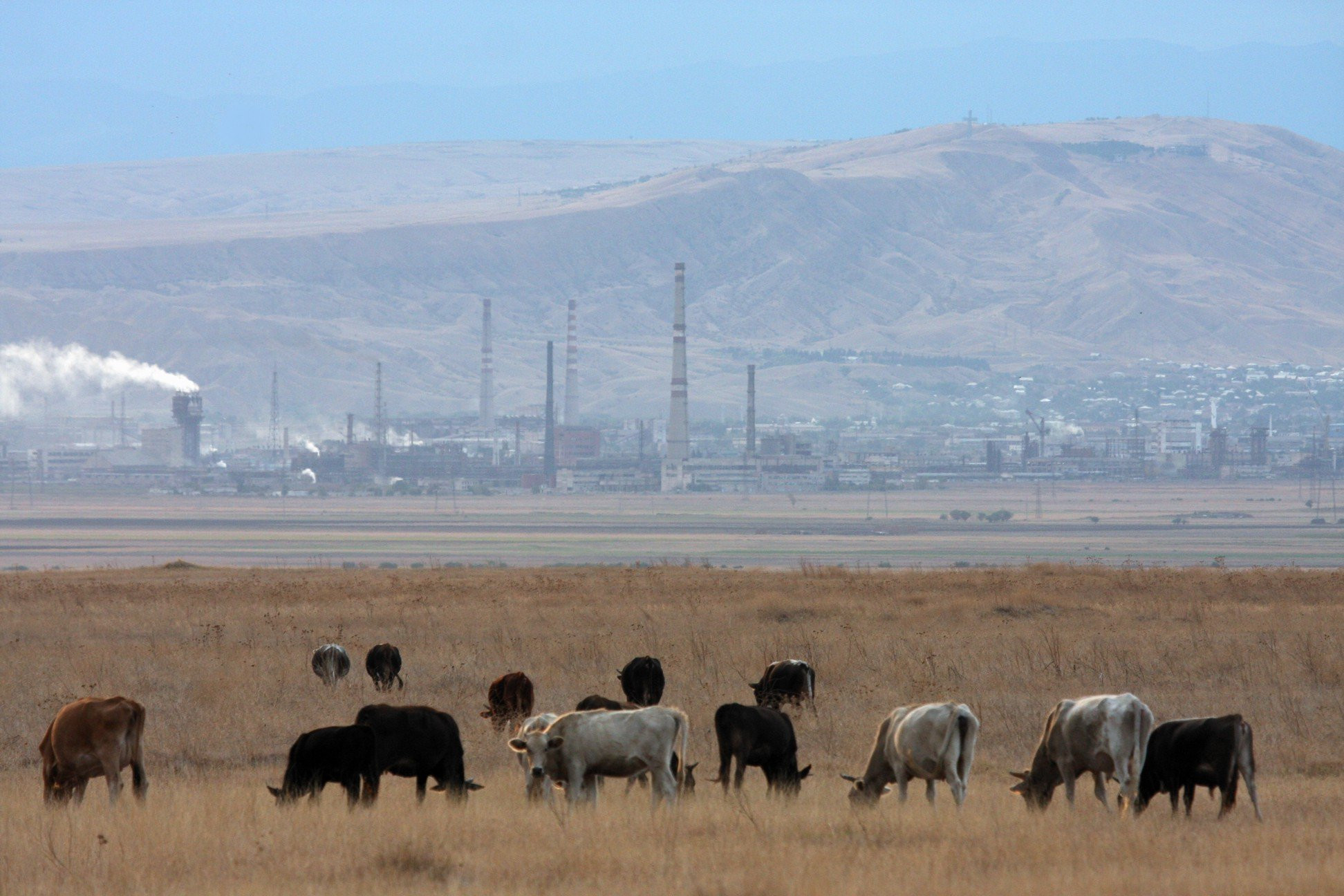 Рустави, Грузия, фото № 73570 – фотографии Грузии