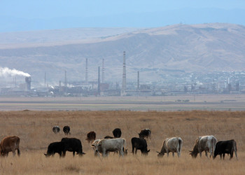 Рустави, Грузия, фото № 73570 – фотографии Грузии