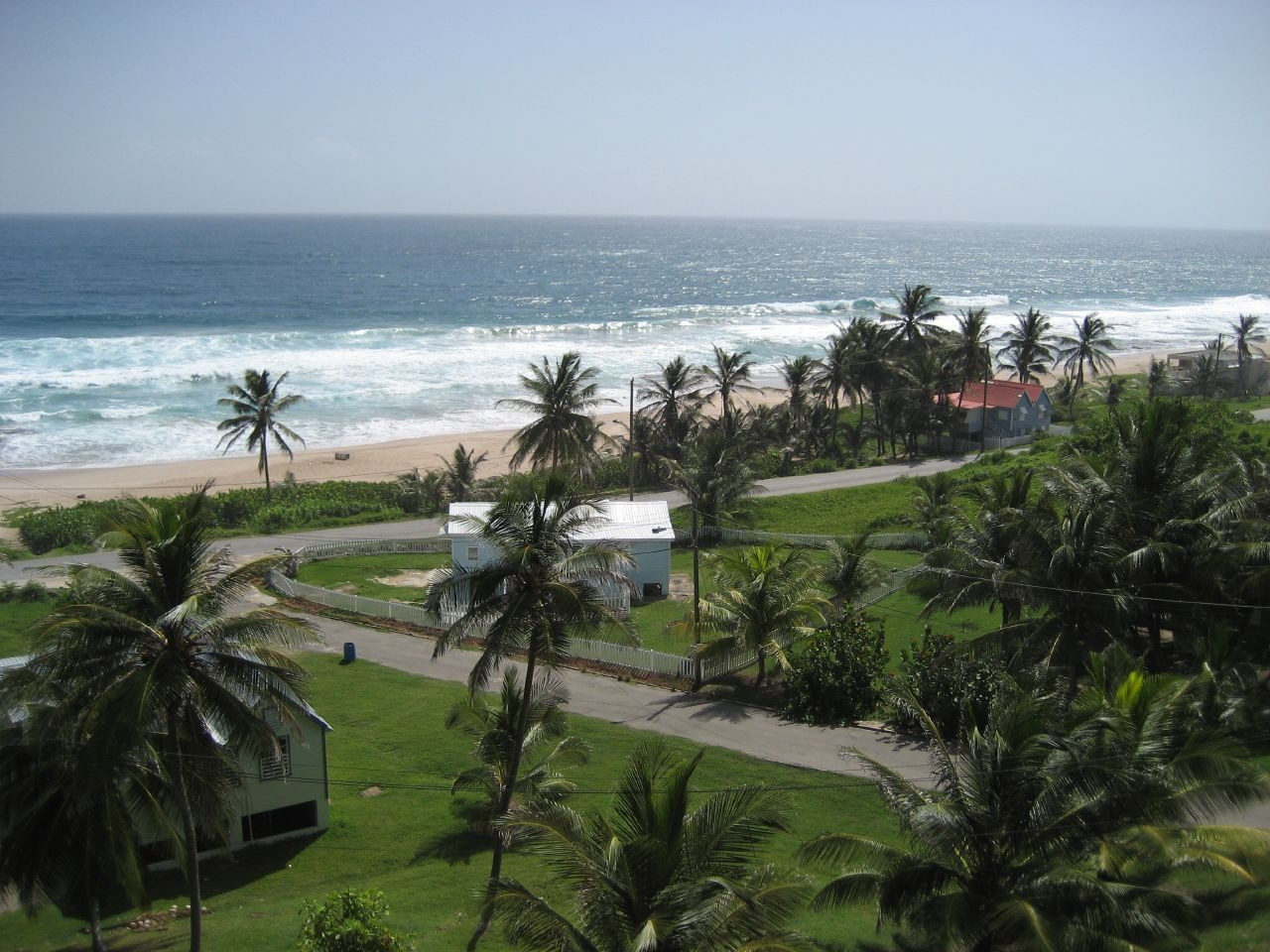 Пальмы на Восточном побережье, Барбадос – фотографии Барбадоса