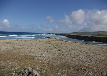 Северное побережье River Bay, Барбадос – фотографии Барбадоса