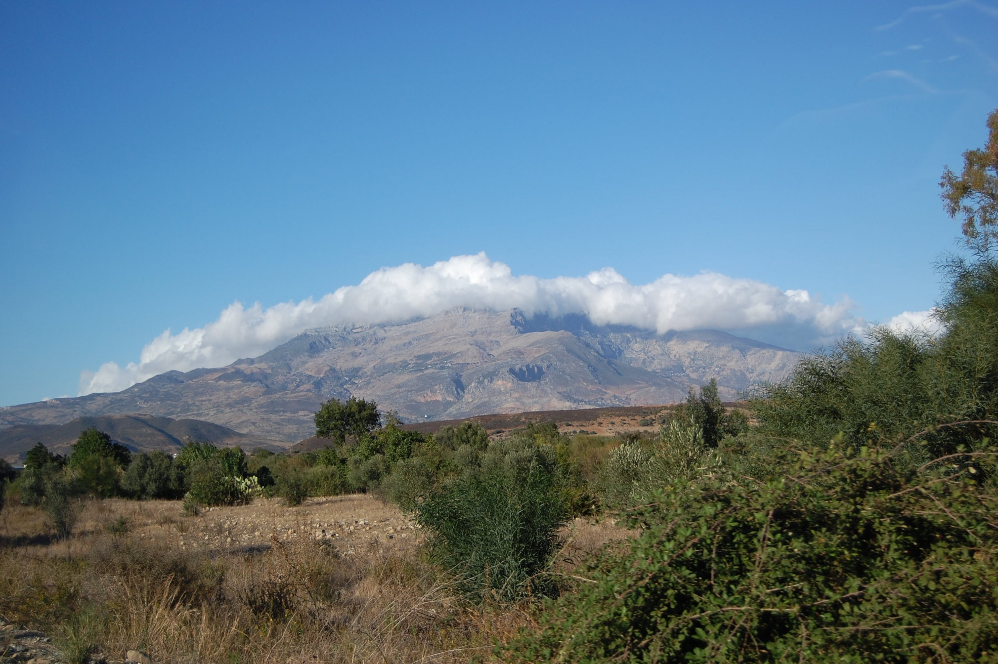 Тетуан, Марокко, фото № 8196 – фотографии Марокко