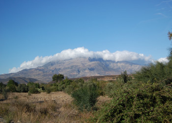 Тетуан, Марокко, фото № 8196 – фотографии Марокко