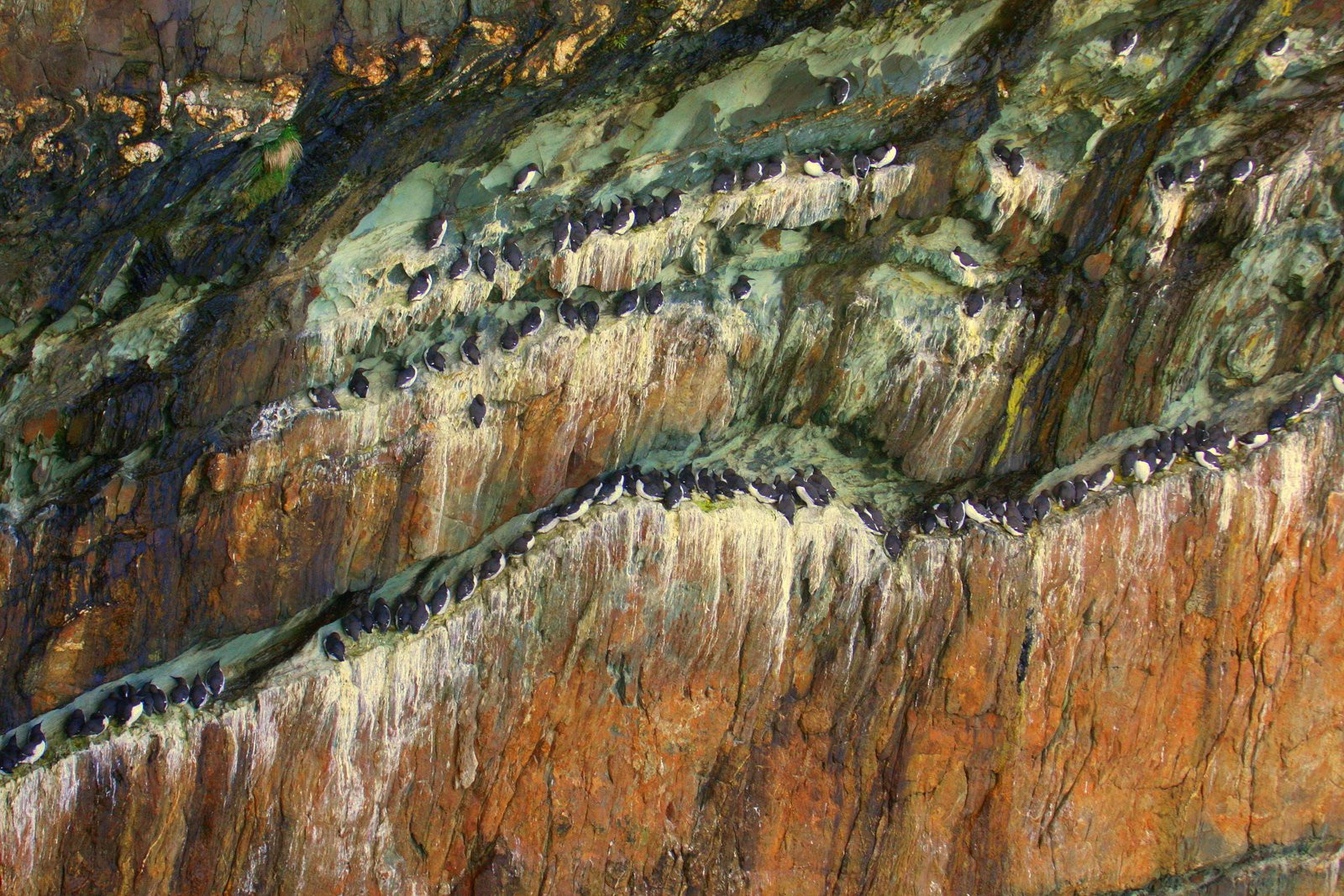 Уэльс, Великобритания, фото № 67888 – фотографии Великобритании