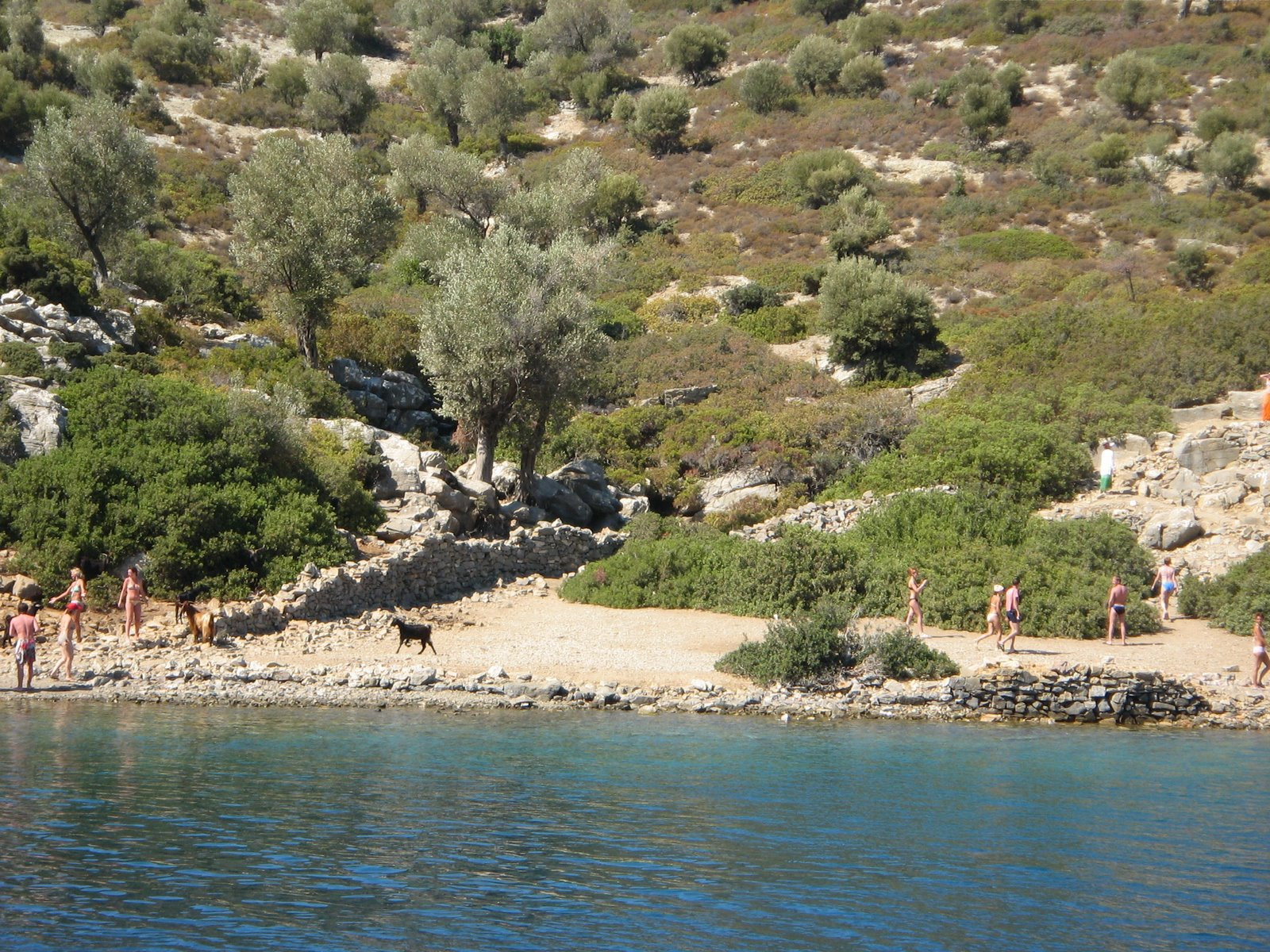 Мармарис, Эгейский регион, Турция, фото № 48005 – фотографии Турции