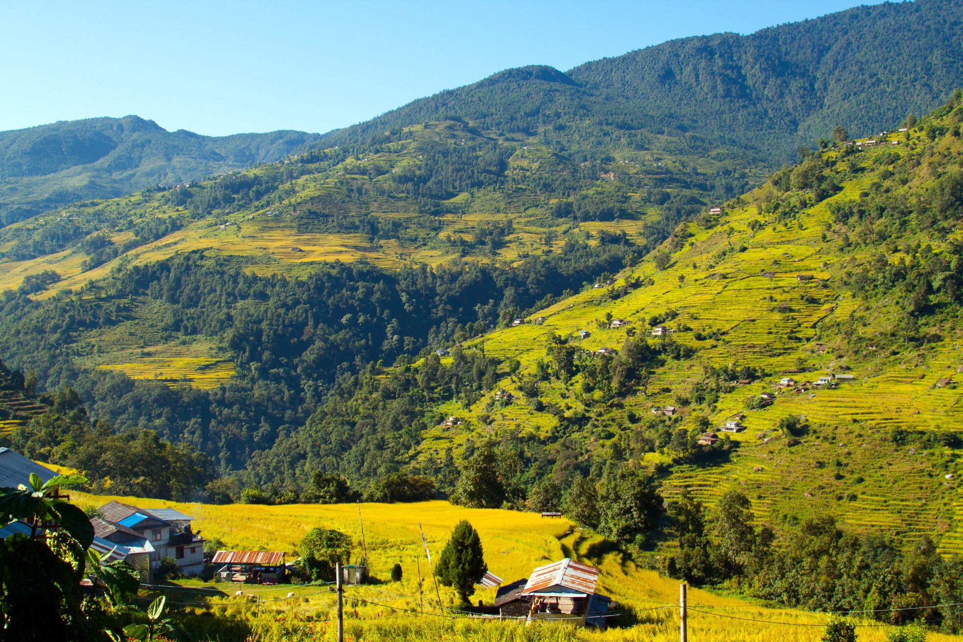Аннапурна заповедник, Непал, фото № 78893 – фотографии Непала
