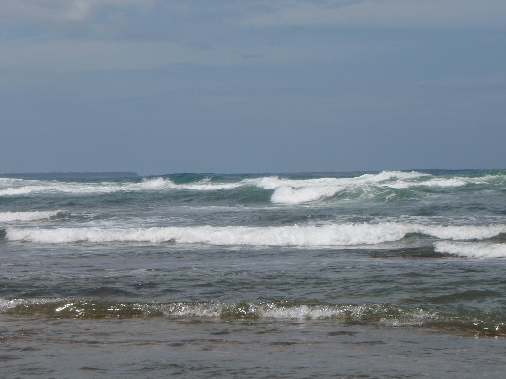 Пуэрто Вьехо, Лимон провинция, Коста-Рика, фото № 40198 – фотографии Коста-Рики