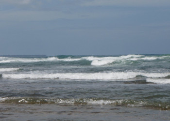 Пуэрто Вьехо, Лимон провинция, Коста-Рика, фото № 40198 – фотографии Коста-Рики