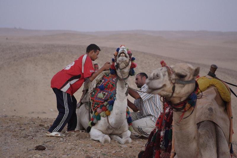 Александрия, Египет, фото № 34768 – фотографии Египта