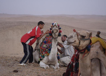 Александрия, Египет, фото № 34768 – фотографии Египта