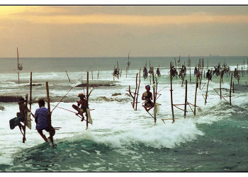 Велигама, Шри-Ланка, фото № 50871 – фотографии Шри-Ланки