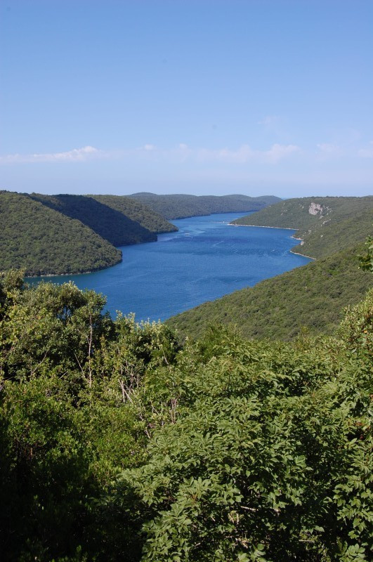Природа Лимского канала, Хорватия. Фото 9 – фотографии Хорватии