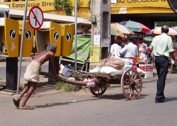 Галле, Шри-Ланка, фото № 50981 – фотографии Шри-Ланки