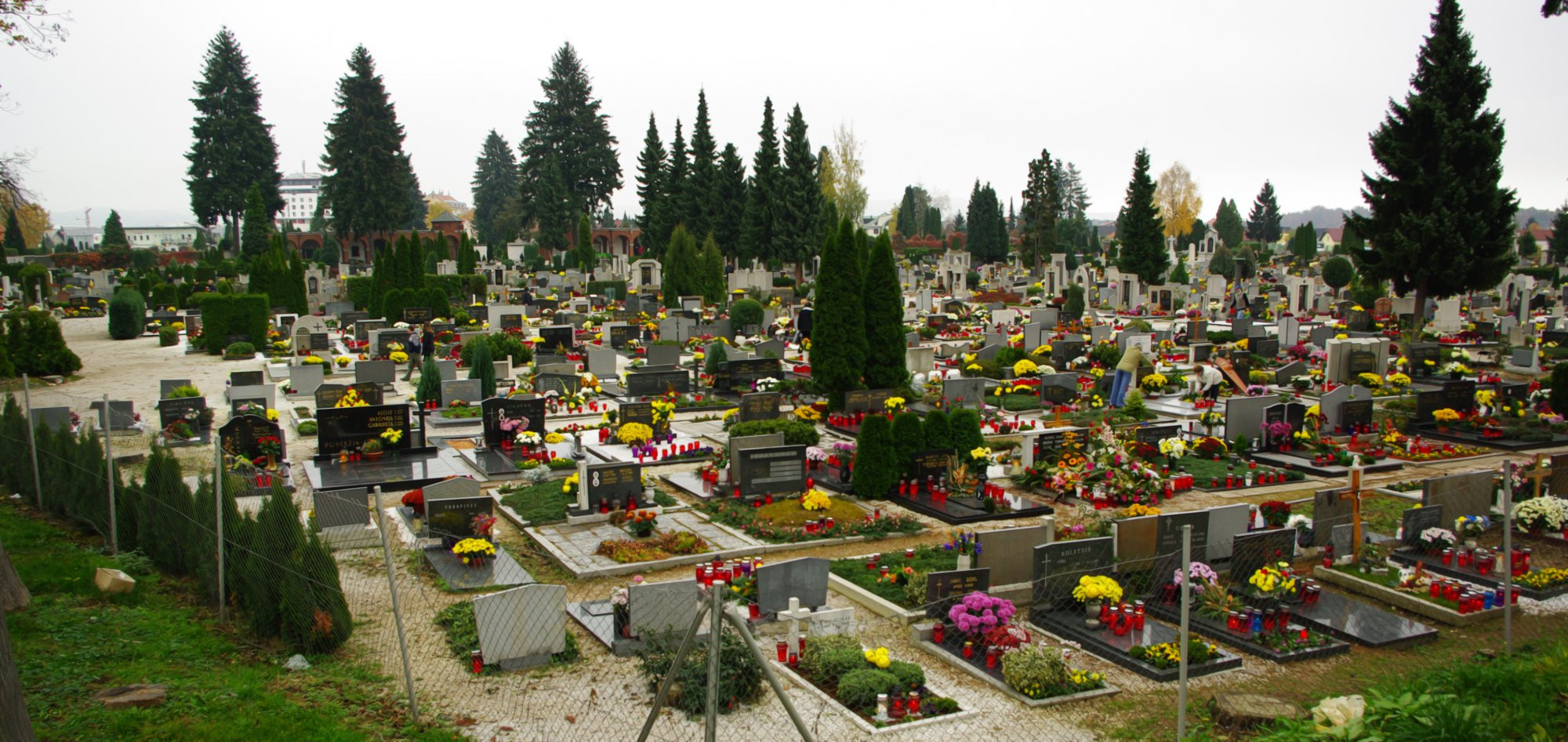 Марибор, Словения, фото № 57306 – фотографии Словении