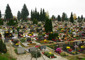 Марибор, Словения, фото № 57306 – фотографии Словении