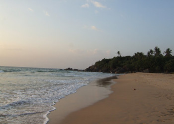 Коcгода, Шри-Ланка, фото № 51511 – фотографии Шри-Ланки