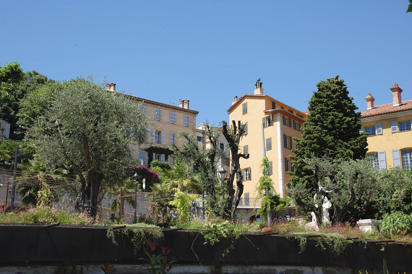 Деревья в Грассе. Франция – фотографии Франции