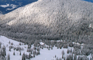 Соришка Планина, Словения, фото № 57563 – фотографии Словении