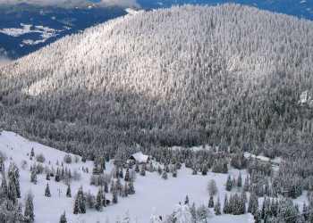 Соришка Планина, Словения, фото № 57563 – фотографии Словении