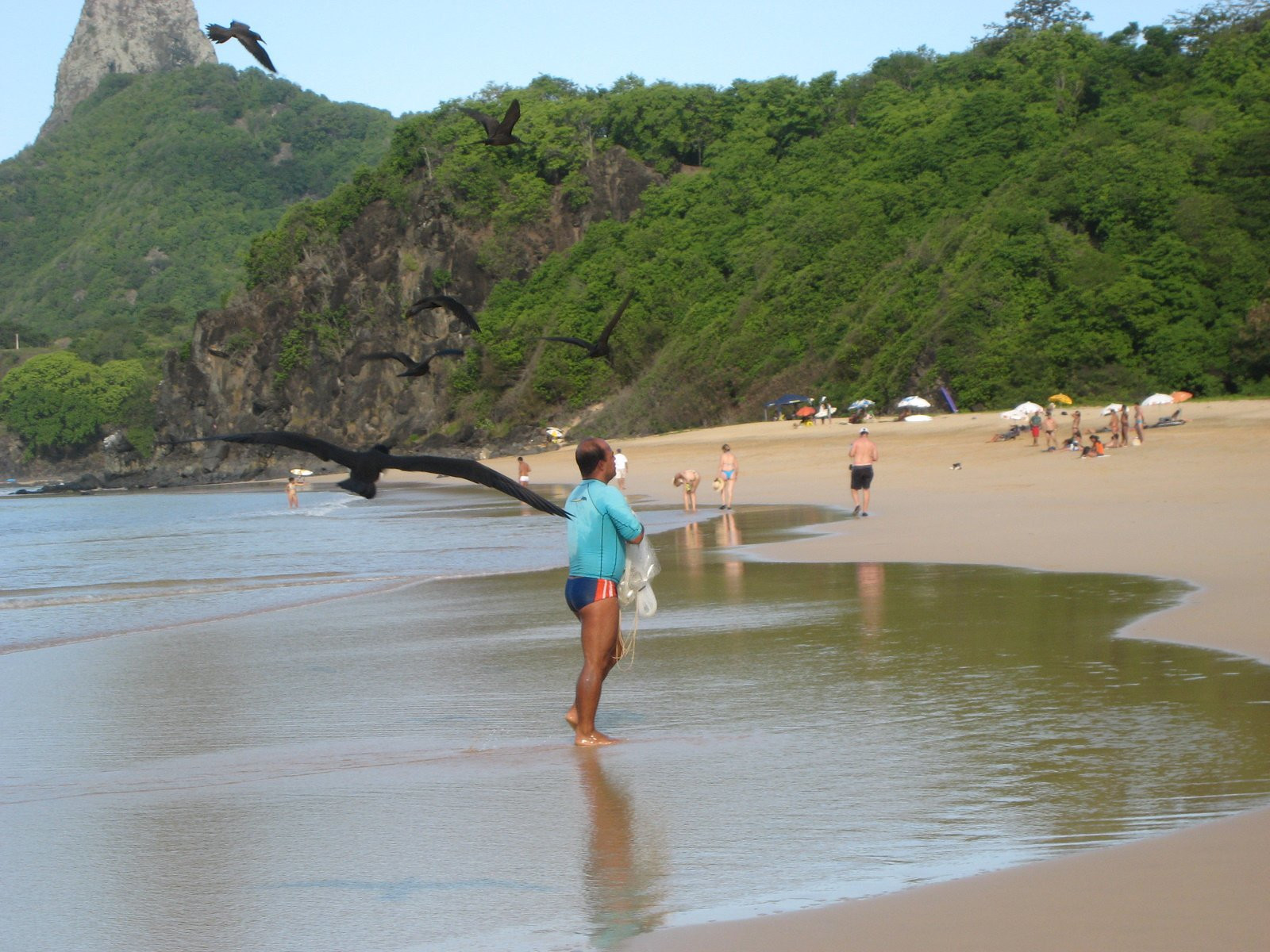 Фернанду-ди-Норонья, Бразилия, фото № 60464 – фотографии Бразилии