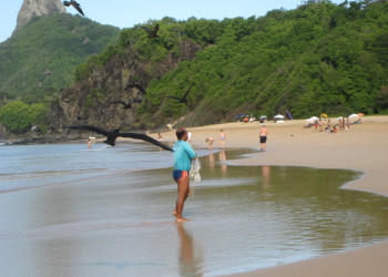 Фернанду-ди-Норонья, Бразилия, фото № 60464 – фотографии Бразилии