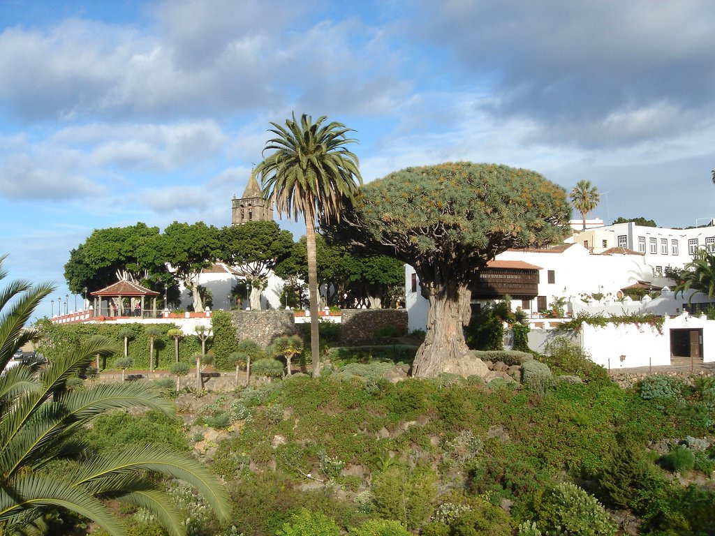 Икод-де-лос-Винос, Тенерифе остров, Канарские острова, фото № 33052 – фотографии Канарских островов