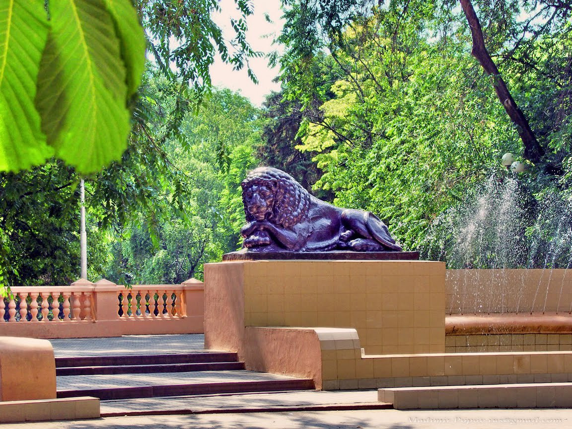 Ростов-на-Дону, Ростовская область, Россия, фото № 66240 – фотографии России