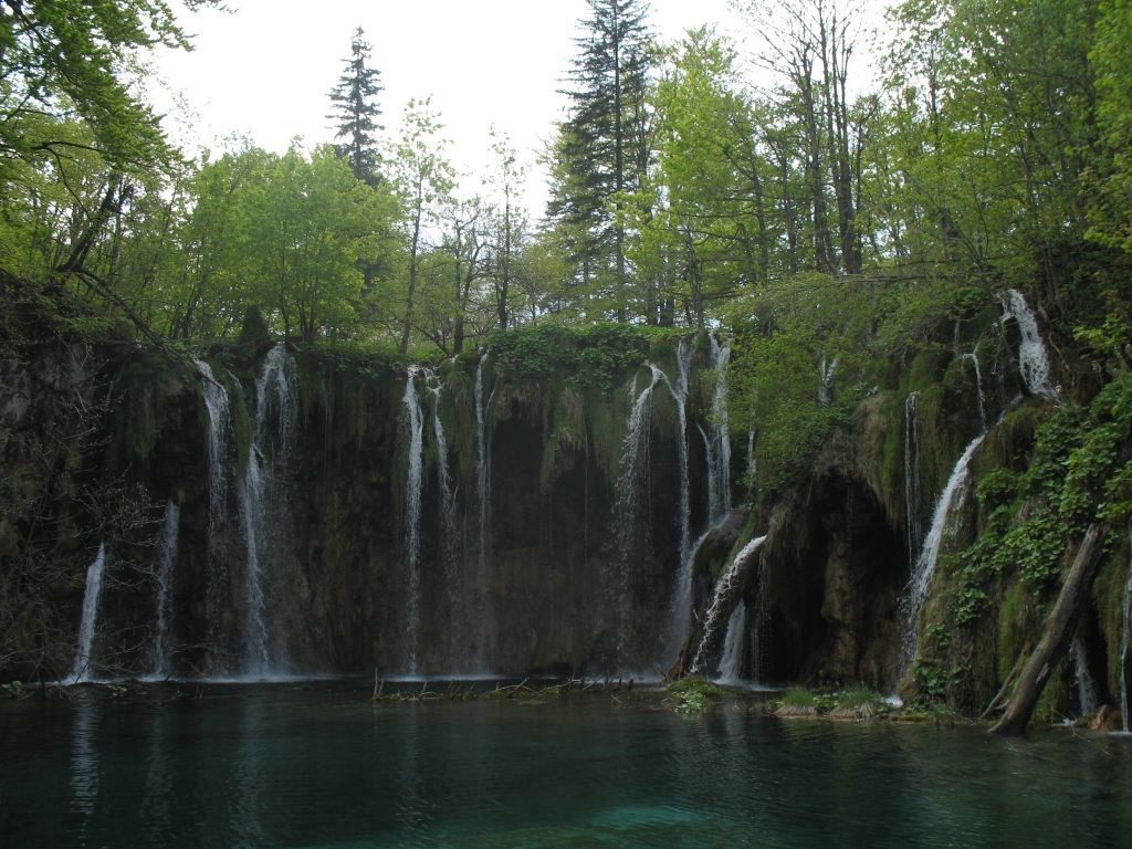 Природа в Национальном парке, Хорватия. Фото 12 – фотографии Хорватии