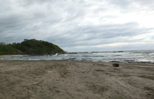 Плайя Хункуиллал, Гуанакасте провинция, Коста-Рика, фото № 39828 – фотографии Коста-Рики