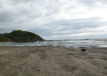 Плайя Хункуиллал, Гуанакасте провинция, Коста-Рика, фото № 39828 – фотографии Коста-Рики