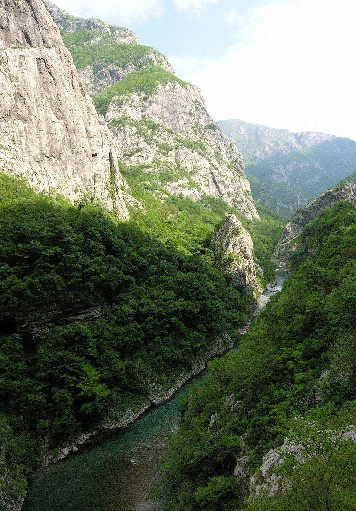 Тара Каньон – фотографии Черногории