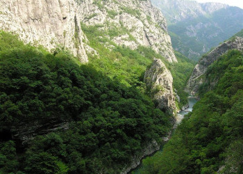 Тара Каньон – фотографии Черногории