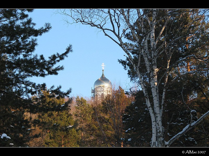 Природа в Шмаковке, Россия – фотографии России