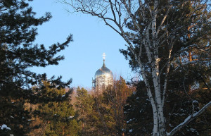 Природа в Шмаковке, Россия – фотографии России