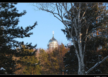 Природа в Шмаковке, Россия – фотографии России