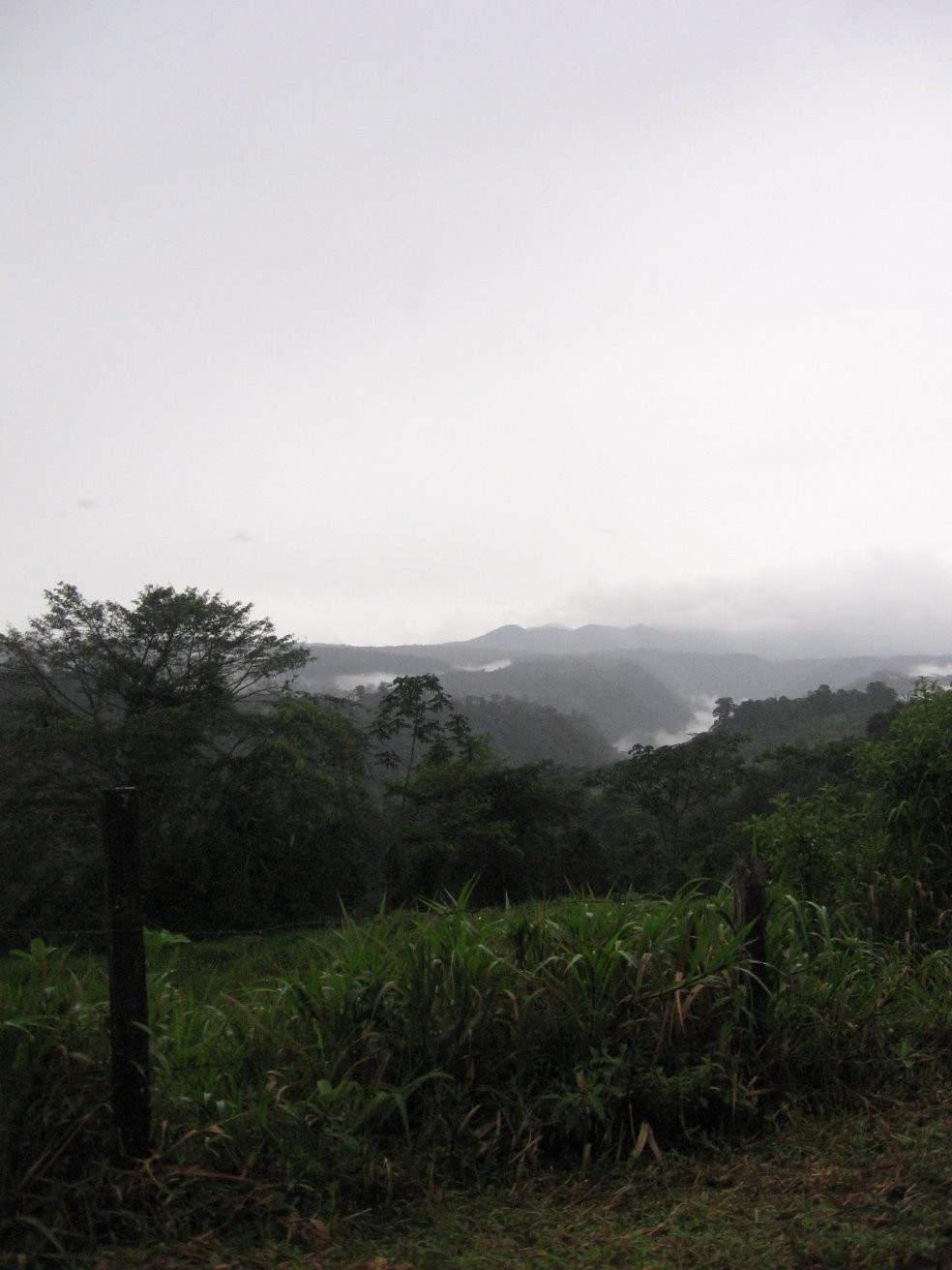 Монтеверде, Пунтаренас провинция, Коста-Рика, фото № 40745 – фотографии Коста-Рики