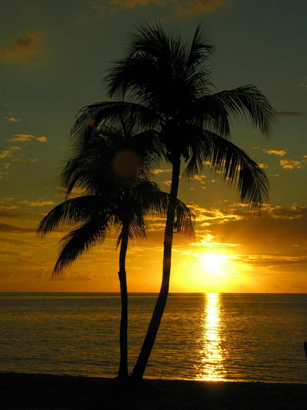 Закат в Негриле, Ямайка. Фото 22 – фотографии Ямайки