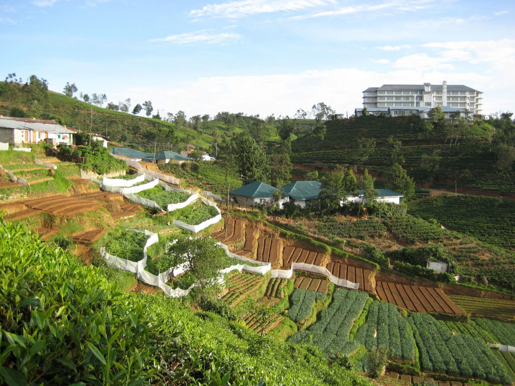 Нувара Элия, Шри-Ланка, фото № 52070 – фотографии Шри-Ланки