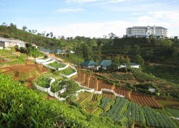 Нувара Элия, Шри-Ланка, фото № 52070 – фотографии Шри-Ланки