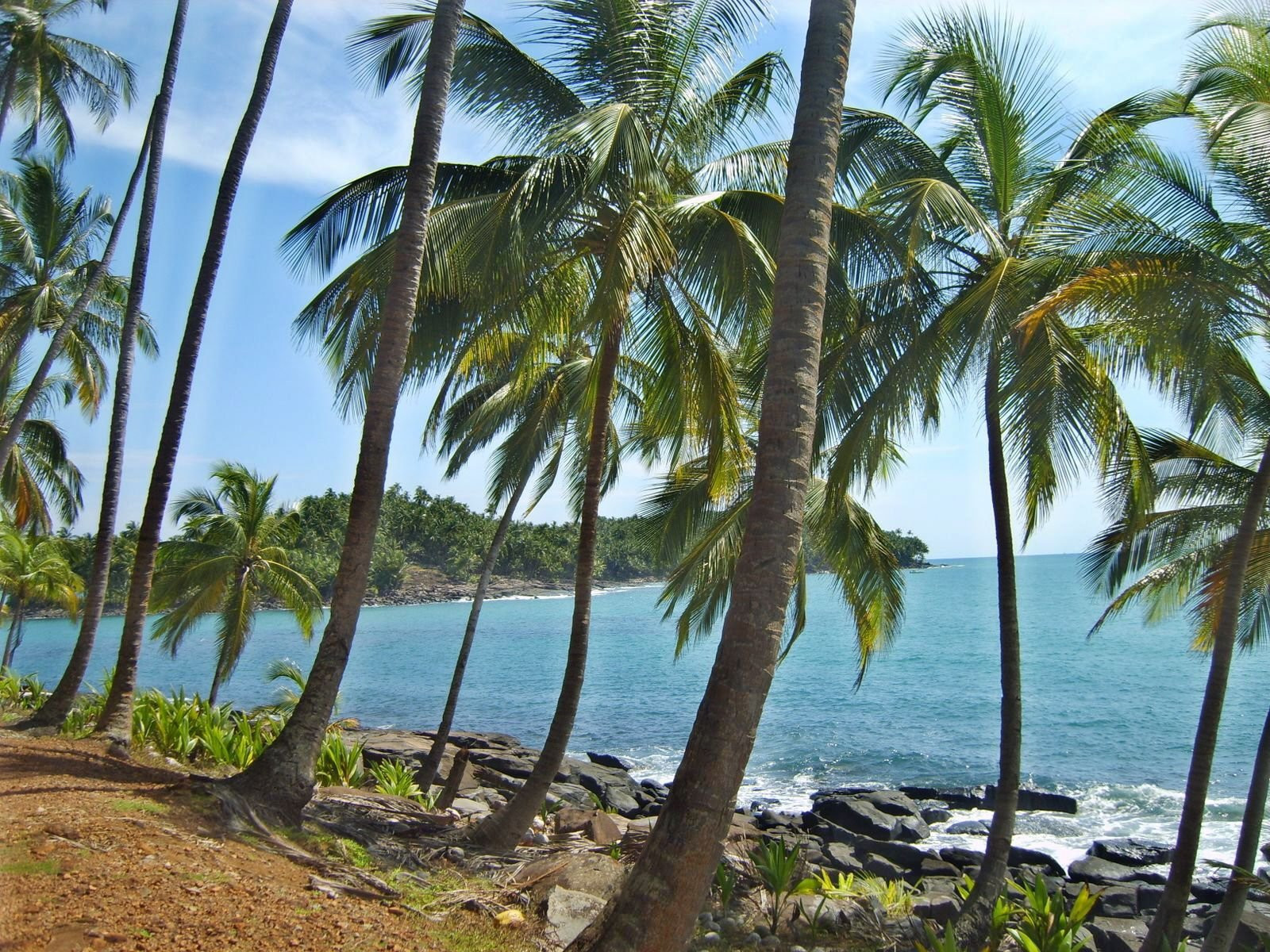 Французская Гвиана, фото № 4938 – фотографии Французской Гвианы