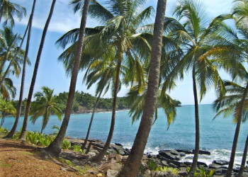 Французская Гвиана, фото № 4938 – фотографии Французской Гвианы