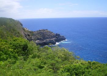 Гваделупа, фото № 3619 – фотографии Гваделупы