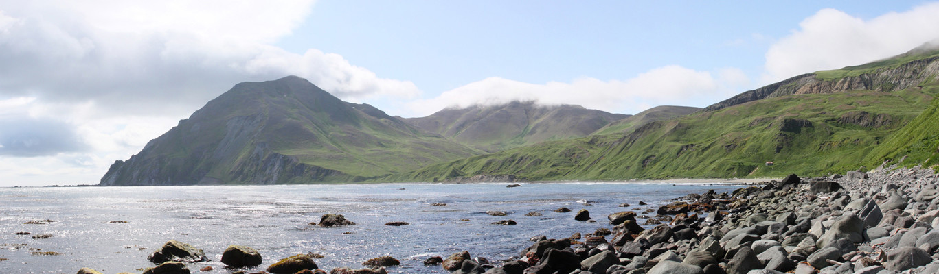 Командорские острова. Фото 14 – фотографии России