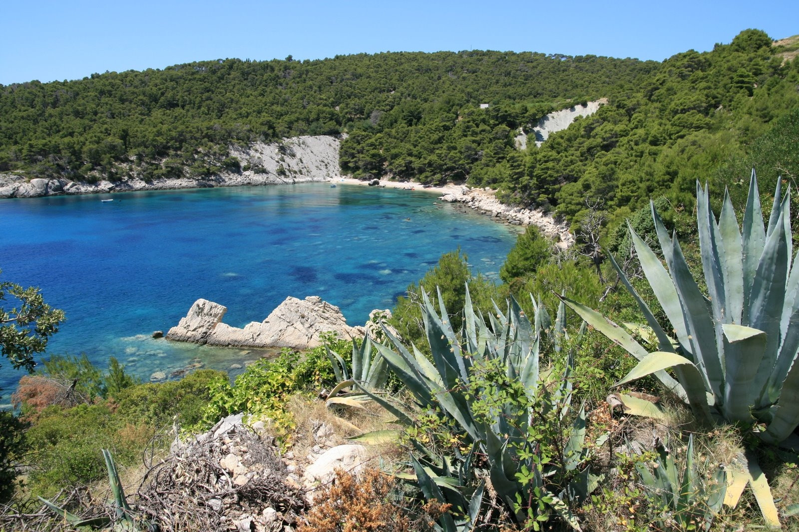 Природа в Хвар, Хорватия. Фото 2 – фотографии Хорватии