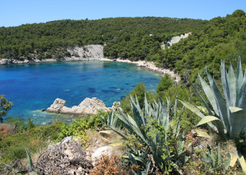 Природа в Хвар, Хорватия. Фото 2 – фотографии Хорватии