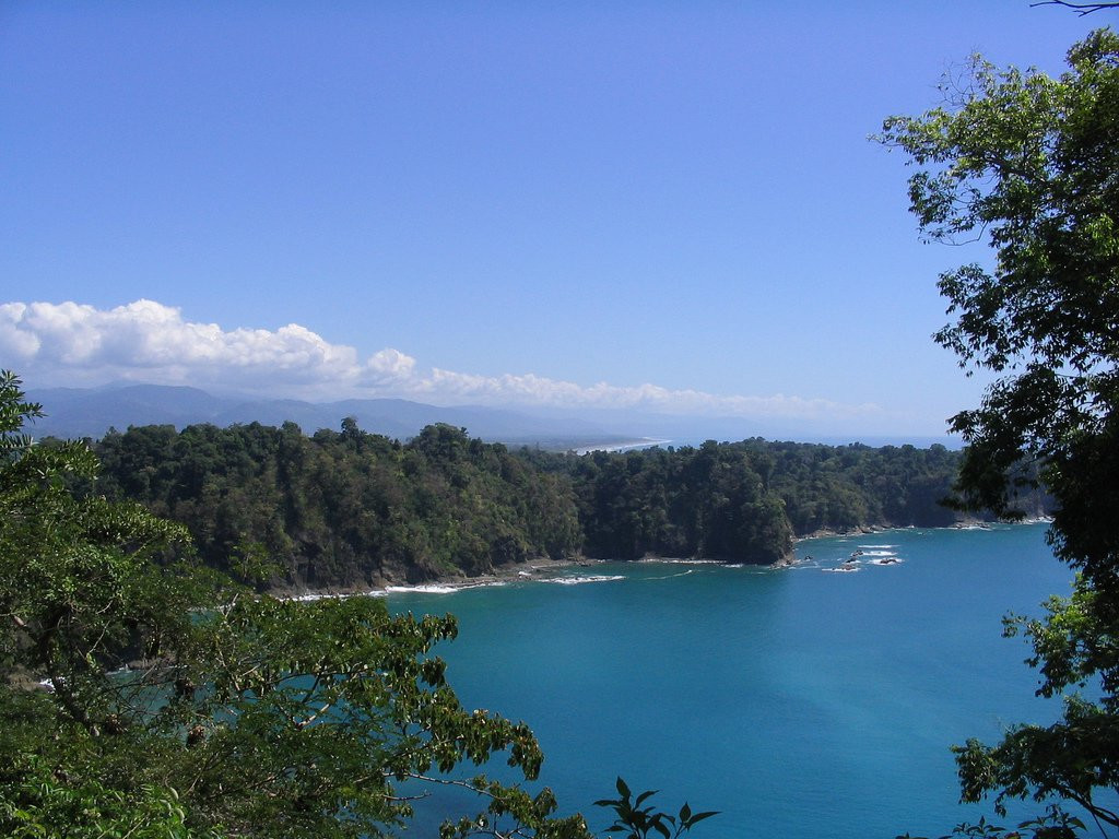 Мануэль Антонио Национальный Парк, Пунтаренас провинция, Коста-Рика, фото № 40664 – фотографии Коста-Рики