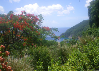 Гваделупа, фото № 3600 – фотографии Гваделупы