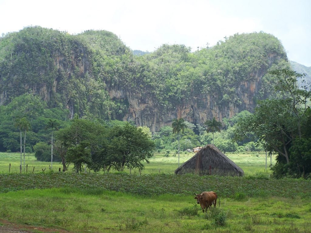 Природа в Пинар дель Рио провинция, Куба. Фото 1 – фотографии Кубы