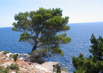 Море в Телашчица, Хорватия. Фото 7 – фотографии Хорватии