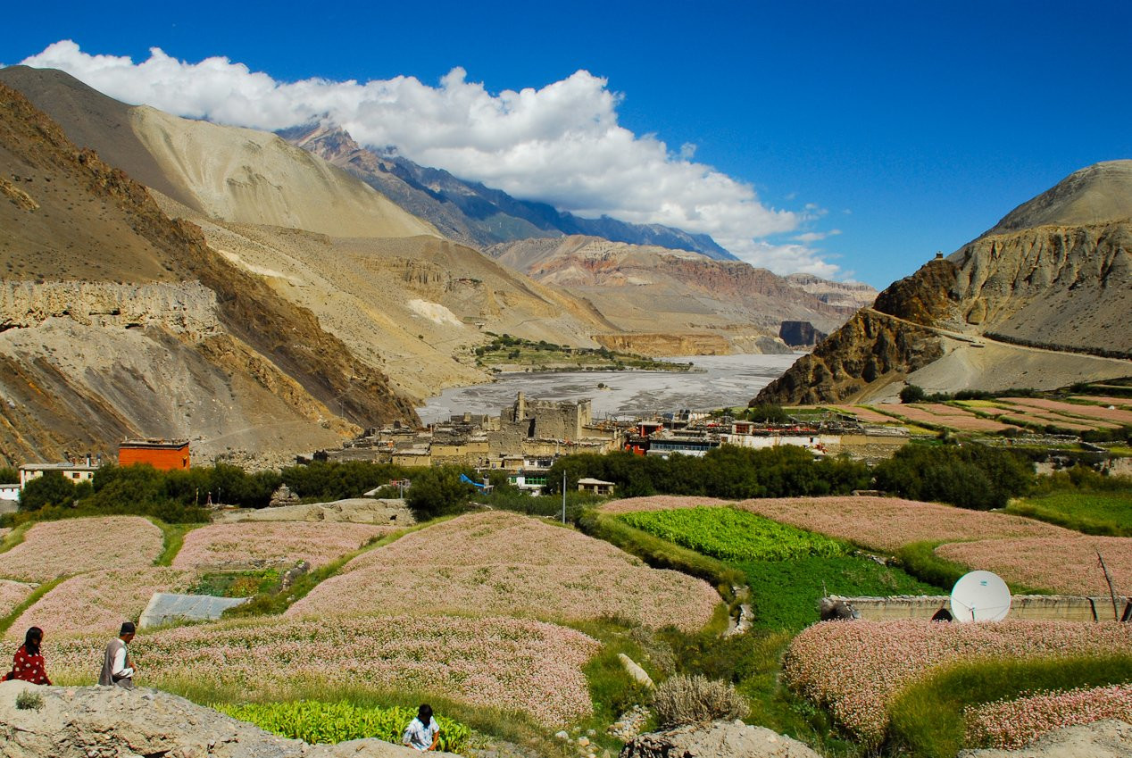 Аннапурна заповедник, Непал, фото № 78886 – фотографии Непала