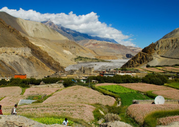 Аннапурна заповедник, Непал, фото № 78886 – фотографии Непала